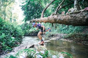 BIB: 
                            <button type="button" onclick="openModal(25433968)" class="btn btn-primary btn-sm float-right btn-popup" data-toggle="modal" data-target=".modal-high-quality">
                        <i class="fas fa-shopping-cart"></i> Add to Cart
                    </button>
                                            <button type="button" onclick="isThisMe(25433968, true)" class="btn btn-success btn-sm float-right btn-popup btn-isme hidden" data-toggle="tooltip" data-placement="bottom" title="นี่คือรูปของคุณใช่ไหม คลิกที่นี่เพื่อเอาเข้าอัลบั้ม">
                        <i class="fas fa-plus"></i> Add to album
                    </button>
                    <button type="button" onclick="isThisMe(25433968, false)" class="btn btn-warning btn-sm float-right btn-popup btn-isnotme hidden">
                        <i class="fas fa-ban"></i> Remove from album
                    </button>